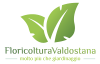Floricoltura Valdostana